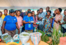 From one cow to thriving enterprises: Agrishow exhibitors showcase Rwanda’s agricultural transformation From one cow to thriving enterprises: Agrishow exhibitors showcase Rwanda’s agricultural transformation