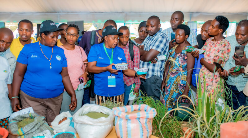 From one cow to thriving enterprises: Agrishow exhibitors showcase Rwanda’s agricultural transformation From one cow to thriving enterprises: Agrishow exhibitors showcase Rwanda’s agricultural transformation