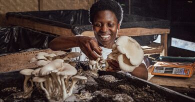 Meet Rwandan women mushroom farmers tackling malnutrition and organic fertiliser shortages