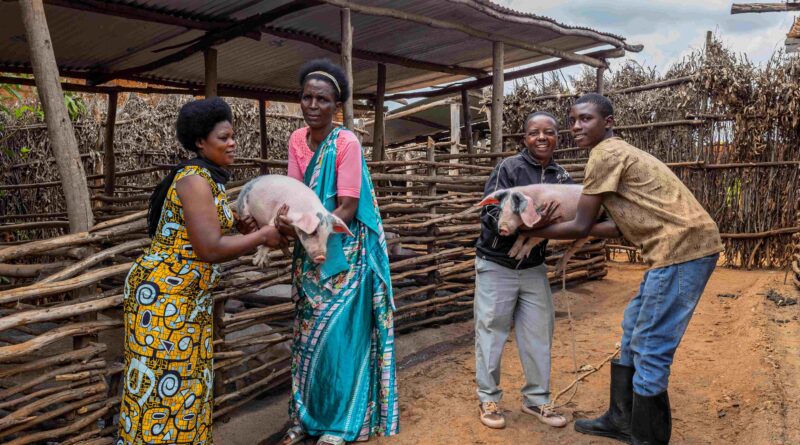 From two piglets to RWF 7 million: Nikuze’s journey to a better life